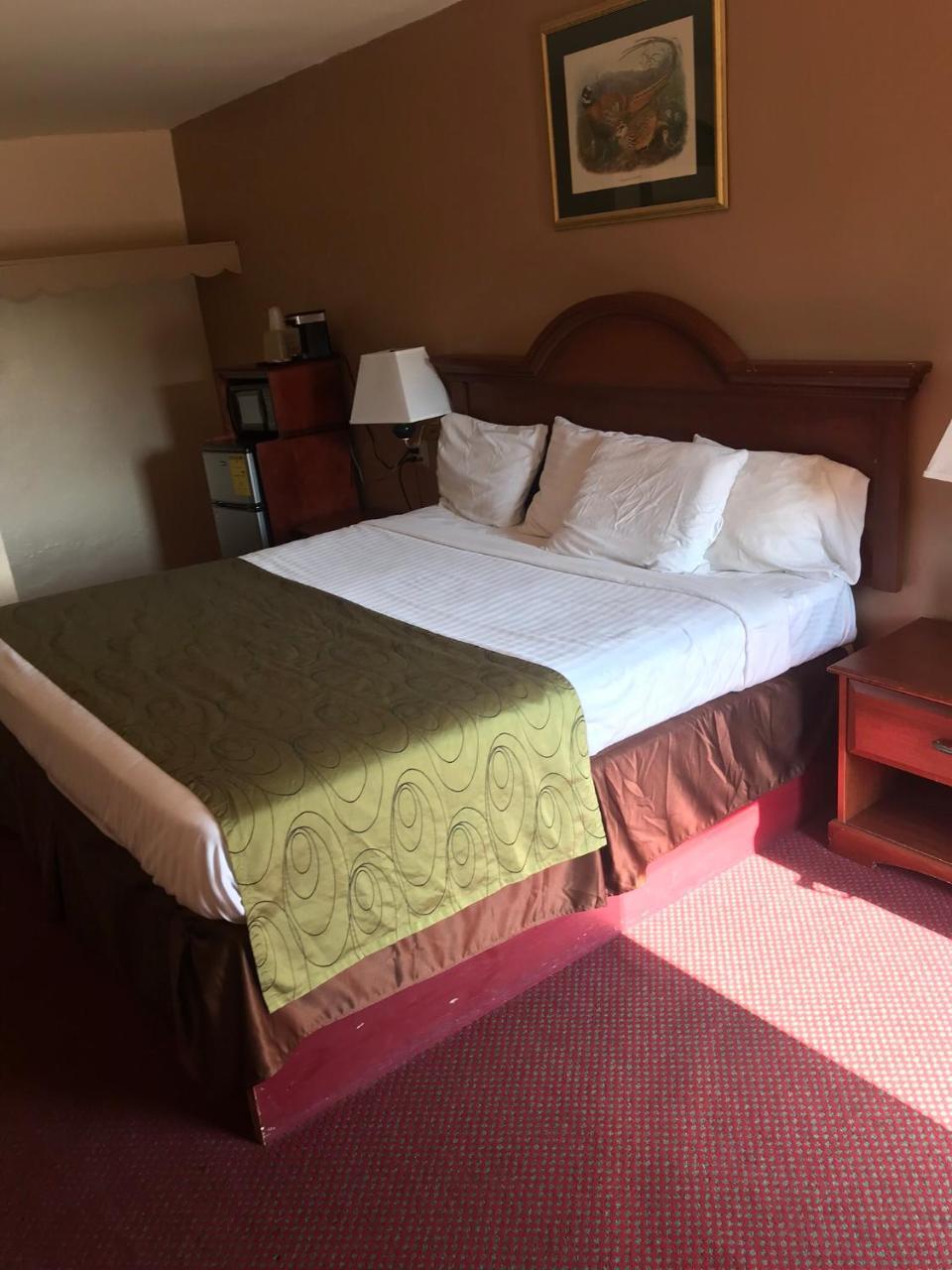 Shamrock Motel Hot Springs Extérieur photo